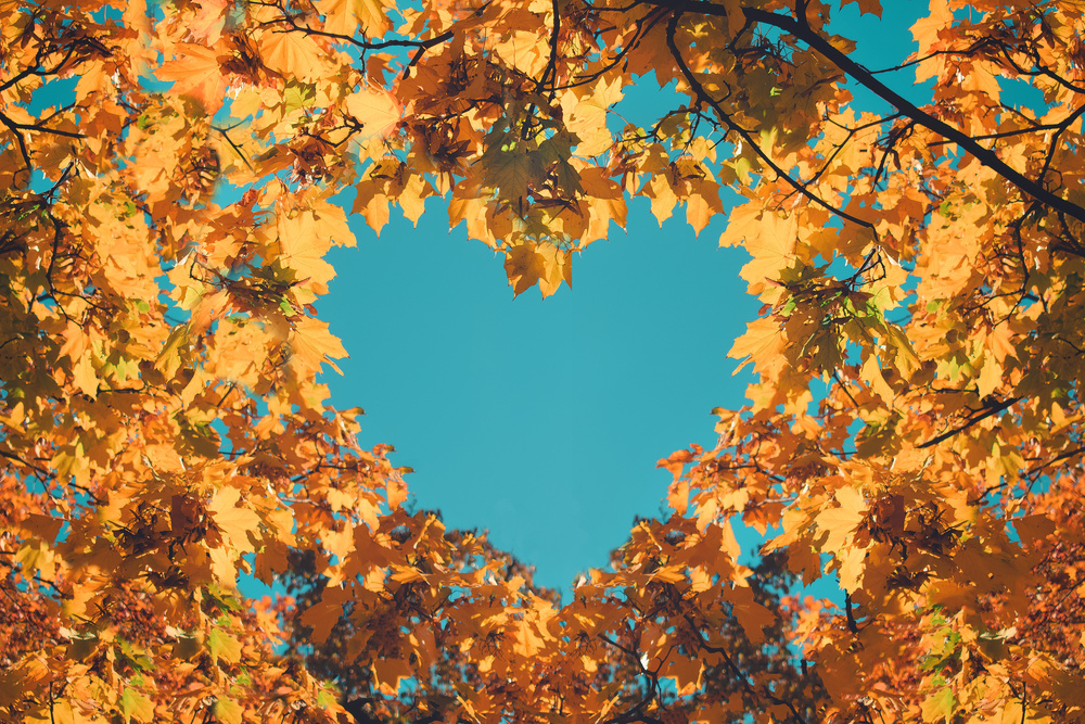 Autumn Fall Love Background